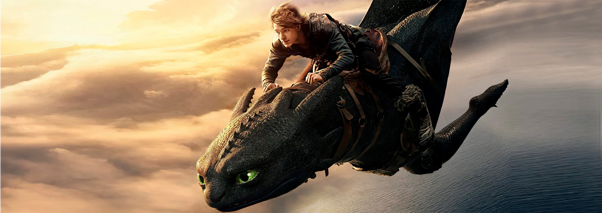 Cómo entrenar a tu dragón