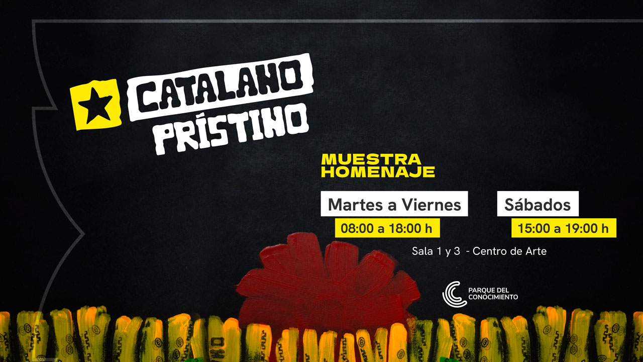 «Catalano prístino»: un homenaje al arte y la vida litoraleña imagen-8