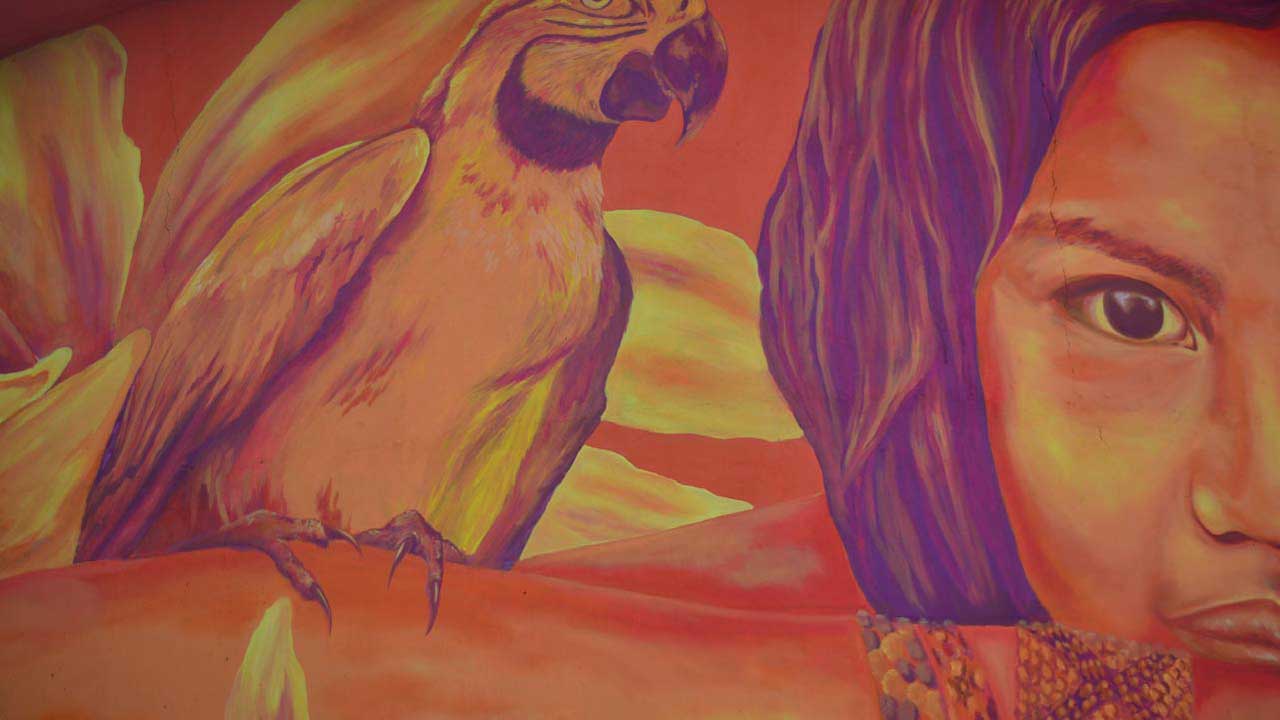 BIODIVERSA: naturaleza y territorio en la obra de Soledad Pereira